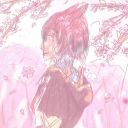 theflowerfield avatar