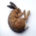 theflowerunderthewillow avatar