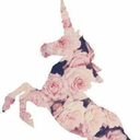 theflowerunicorn avatar