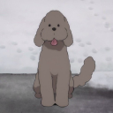 theflyinggraysons121 avatar