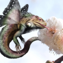 theflyingiguana avatar