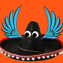 theflyingsombrero45 avatar