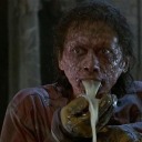 theflythrowingup avatar