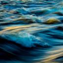 thefoalsandfawns avatar