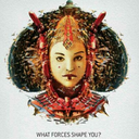 theforcefandom avatar