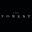 theforestisreal-blog avatar