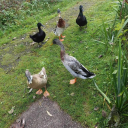 thefortressgoddess avatar