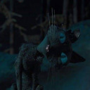 thefoxandtheforestphotography avatar