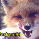 thefoxhunt69-blog avatar