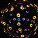 thefoxinthehole avatar