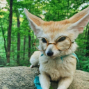 thefoxtailsystem avatar