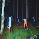 thefreakingfrancis avatar