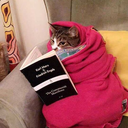 thefreaksclub avatar