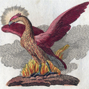 thefreedomphoenix avatar