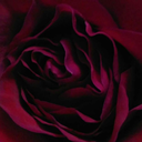 thefreewilled avatar