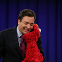 thefrenchfalpal-blog avatar