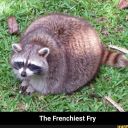 thefrenchiestfry1616 avatar