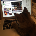 thefrenchmoose-blog avatar