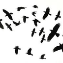 thefrenglishgirl avatar