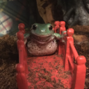 thefroggiebloggie avatar