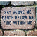 thefrogprincess96 avatar