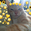 thefuckingparadises avatar