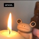 thefuckisgender avatar