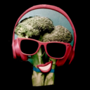 thefunkybroccolimusicblog avatar