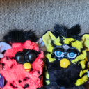 thefurbybiologist avatar