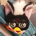 thefurbyguru avatar