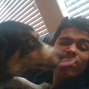 thefurrysherlockian avatar