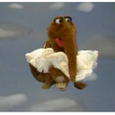 thefuturedrevils avatar