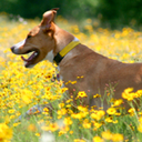 thefuturefarm avatar