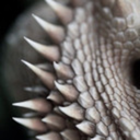 thefutureunseen avatar