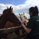 thefutureveterinarian avatar