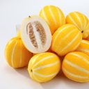 thegaycowboygrandma avatar