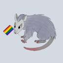 thegayestpossum avatar