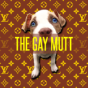 thegaymutt-blog avatar