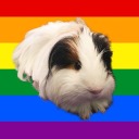 thegayneapigs avatar