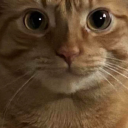 thegendermanenderman avatar