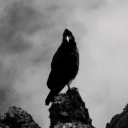 theghostghost avatar