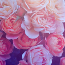 theghostlywriter avatar