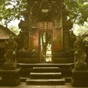 theghostofher avatar