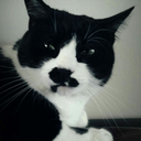 theghoulnamedjello avatar