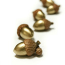 thegildedacorn avatar