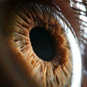 thegirlinthebackround avatar