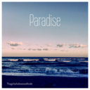 thegirlwholovessolitude avatar