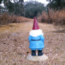 thegirlwithagnome avatar