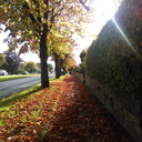 thegirlwiththegreenring avatar