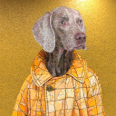 thegirlwiththeleadarrow avatar